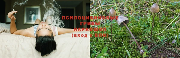 прущая мука Покровск
