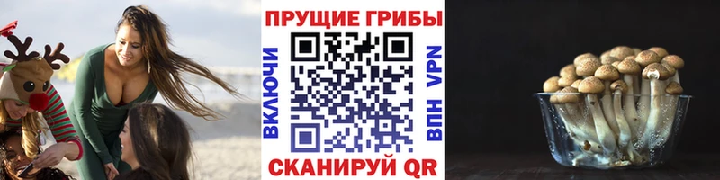Галлюциногенные грибы Magic Shrooms дарнет шоп Карабулак